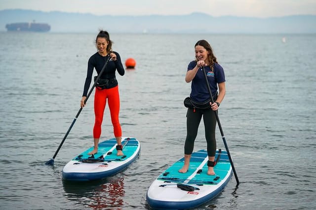 Learn to paddle board with our expert instructors!